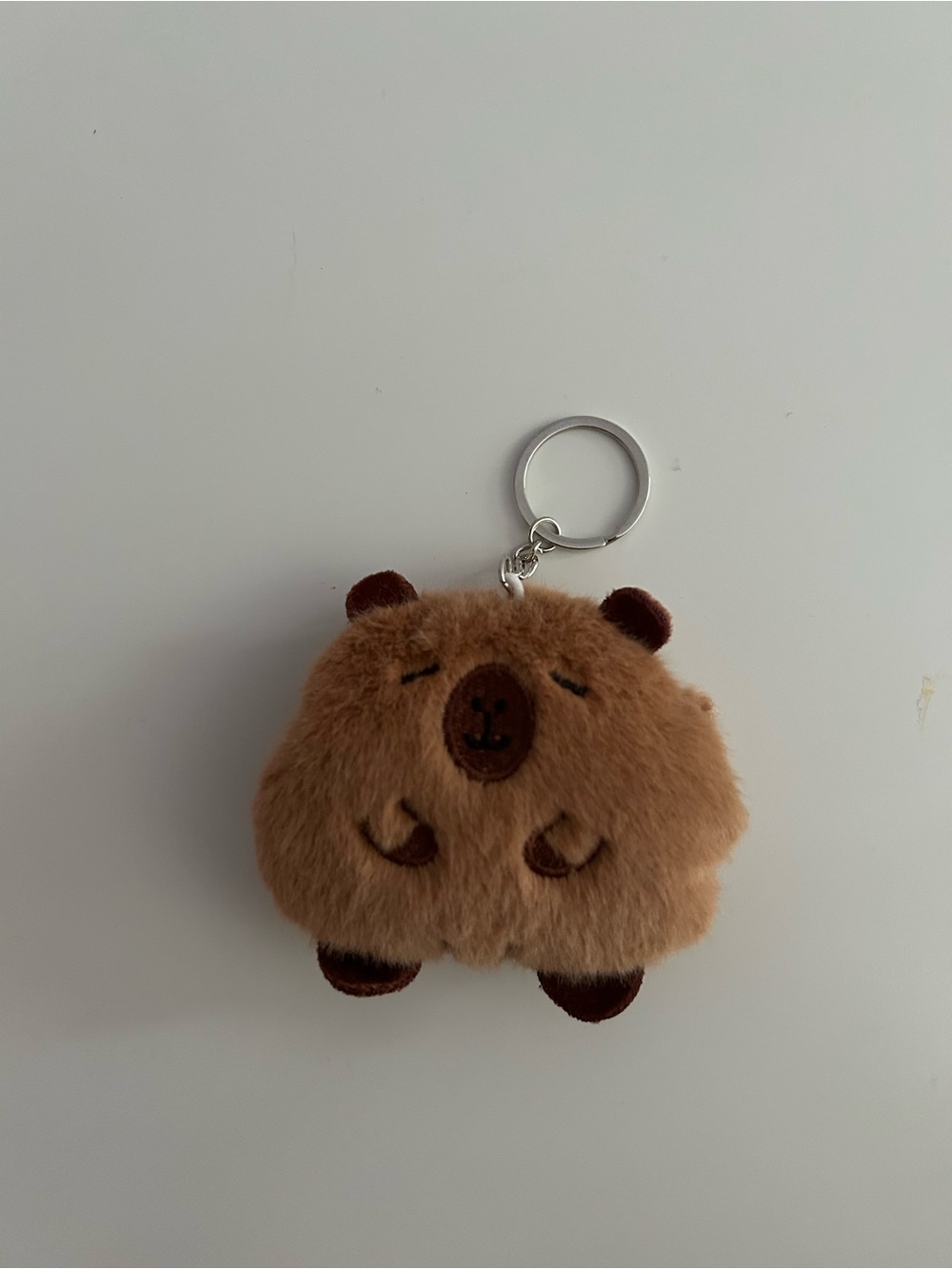 Set of 2 Kawaii Capybara Keychains